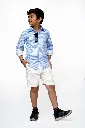 ZLA00831.webp