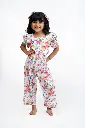 ZLA09968.webp